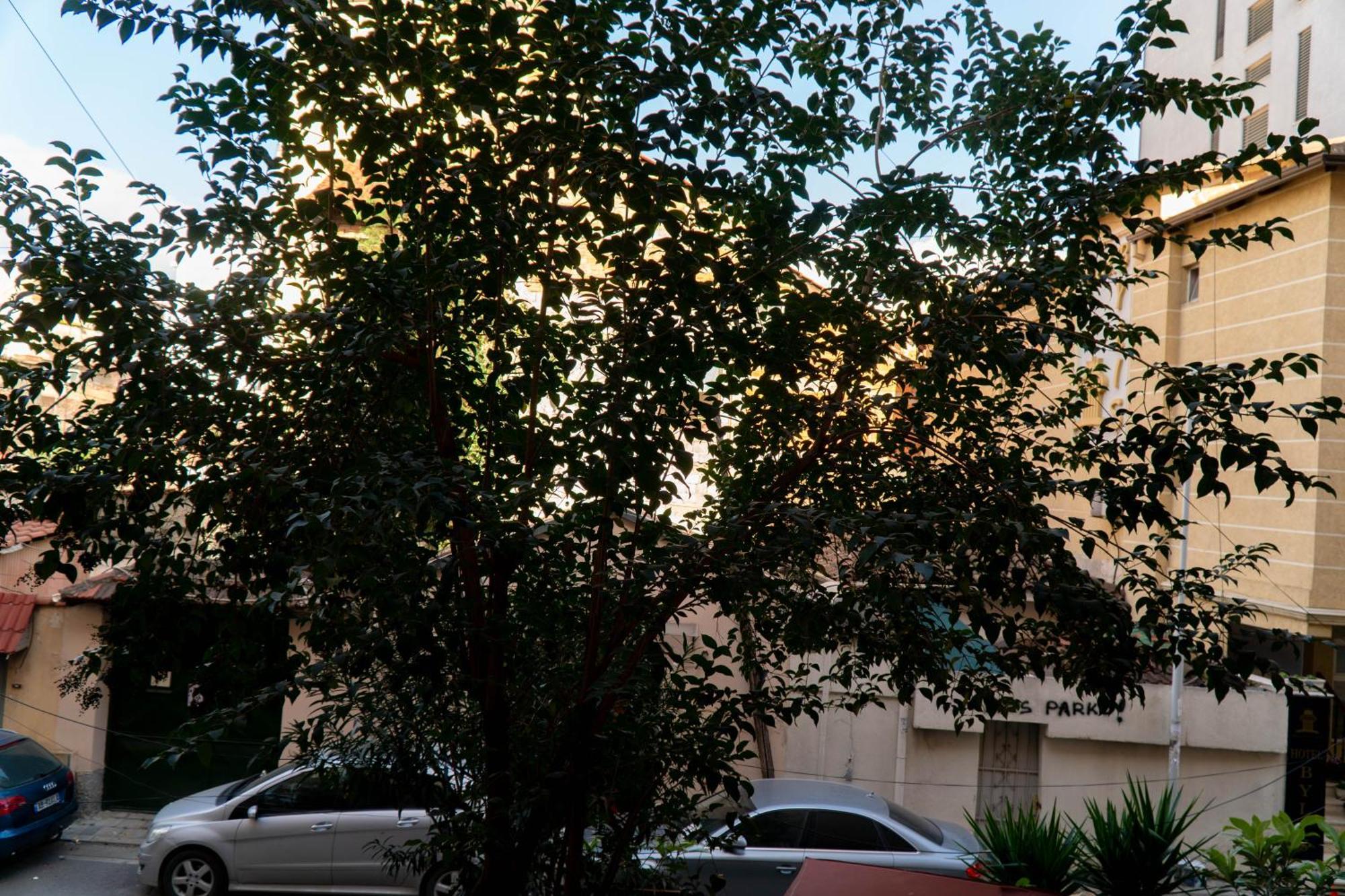 Signature Apartment 8 Tirana Zewnętrze zdjęcie
